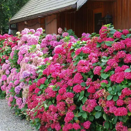 D'hotes Du Creulet Bed & Breakfast *