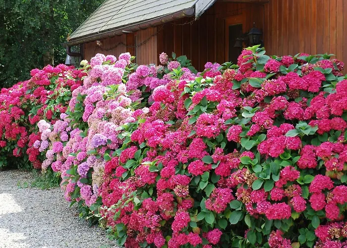 D'hotes Du Creulet B&B 3*